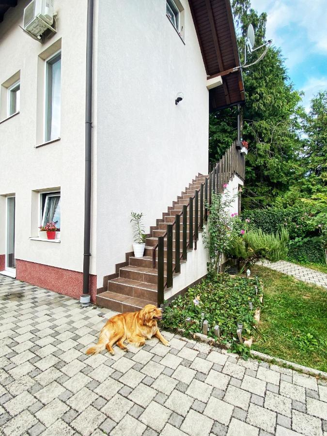 Hotel Guesthouse Stari Jasen Velika Mlaka Kültér fotó