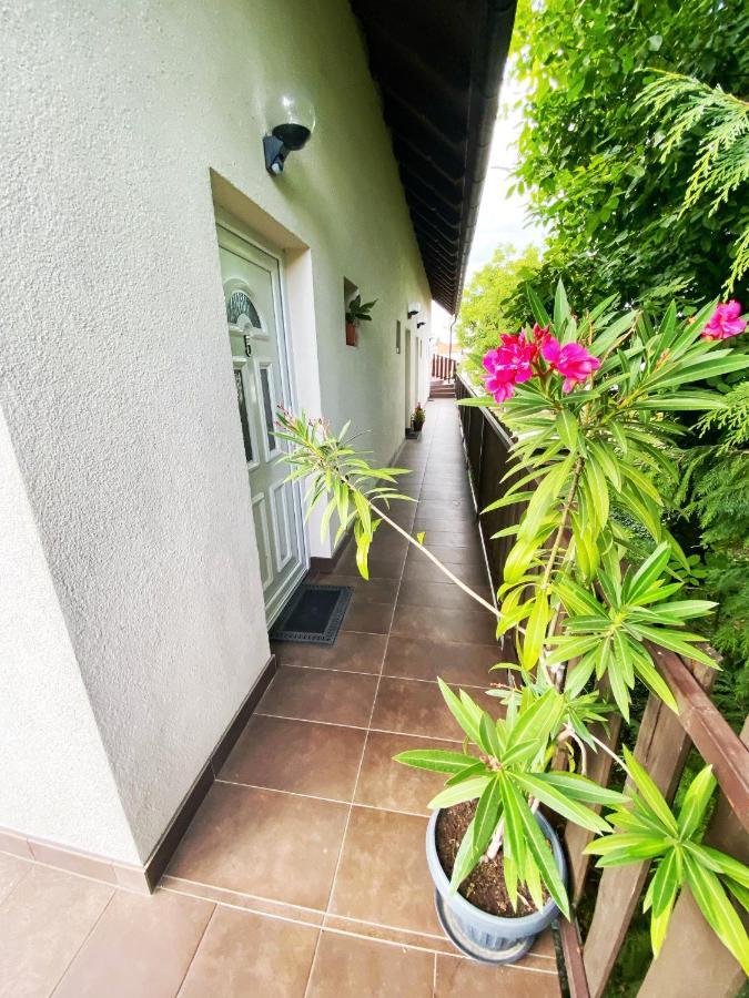 Hotel Guesthouse Stari Jasen Velika Mlaka Kültér fotó