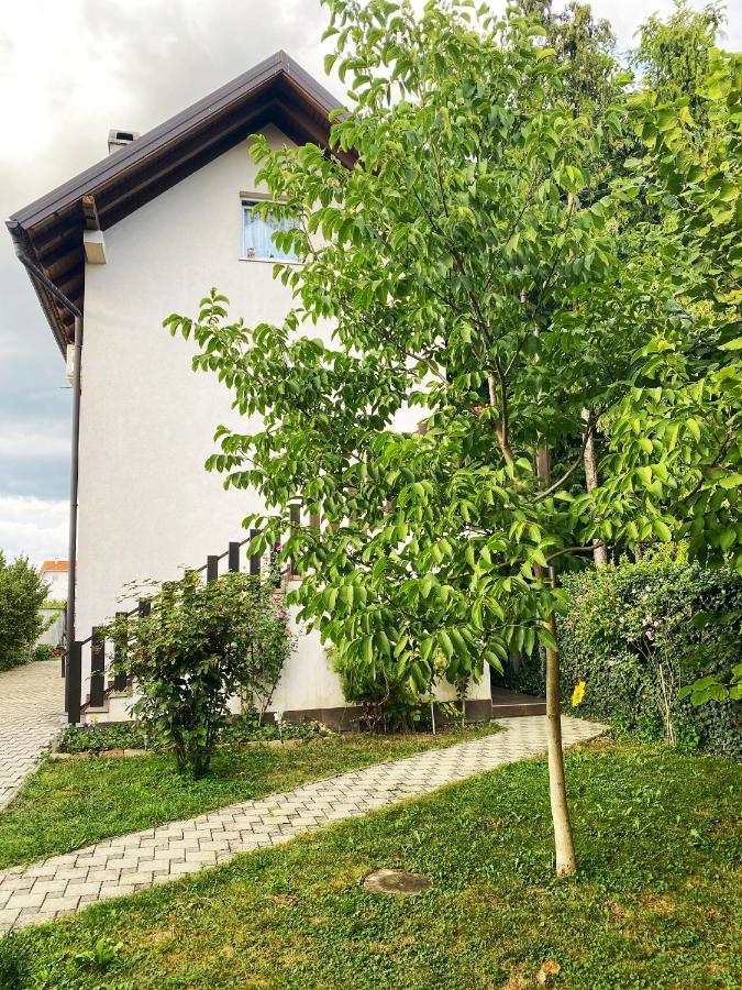 Hotel Guesthouse Stari Jasen Velika Mlaka Kültér fotó